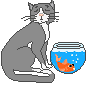 catbowl