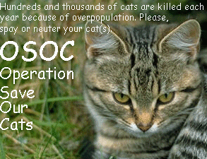 save our cats
