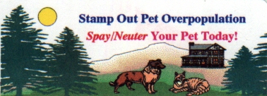 spay