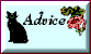advice